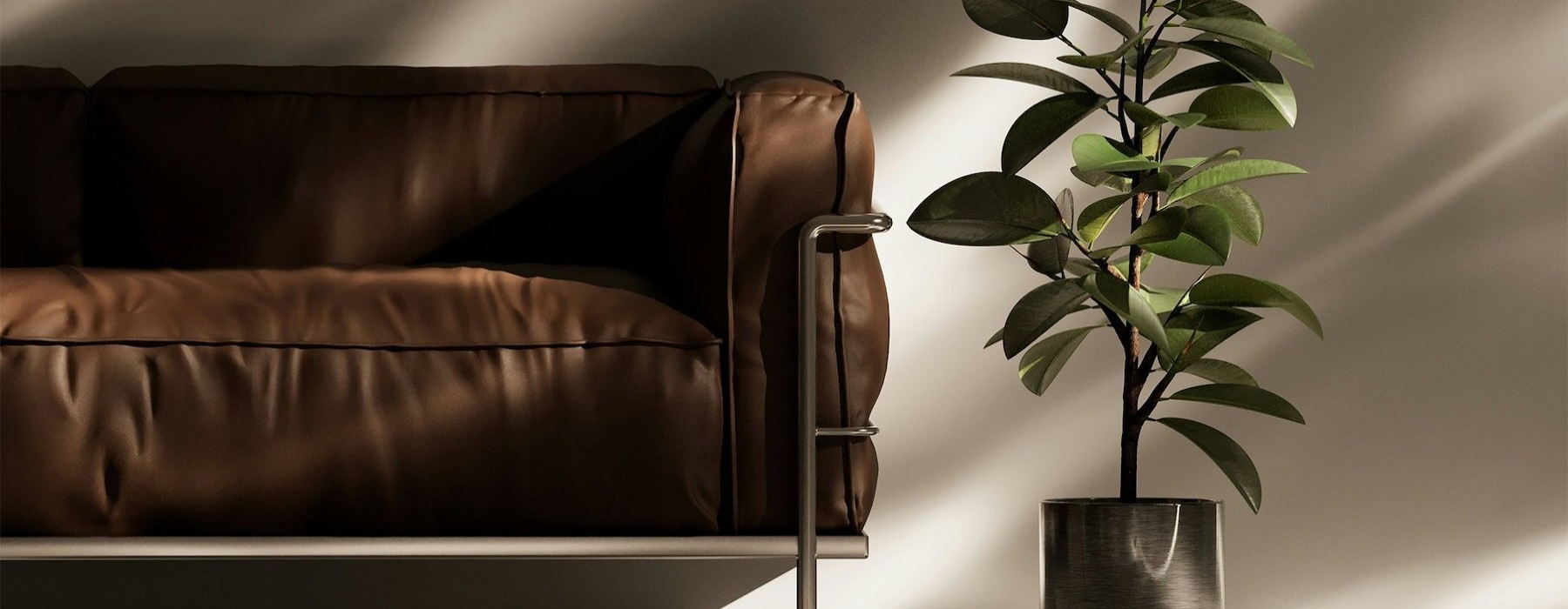 a plant in a pot near a leather couch